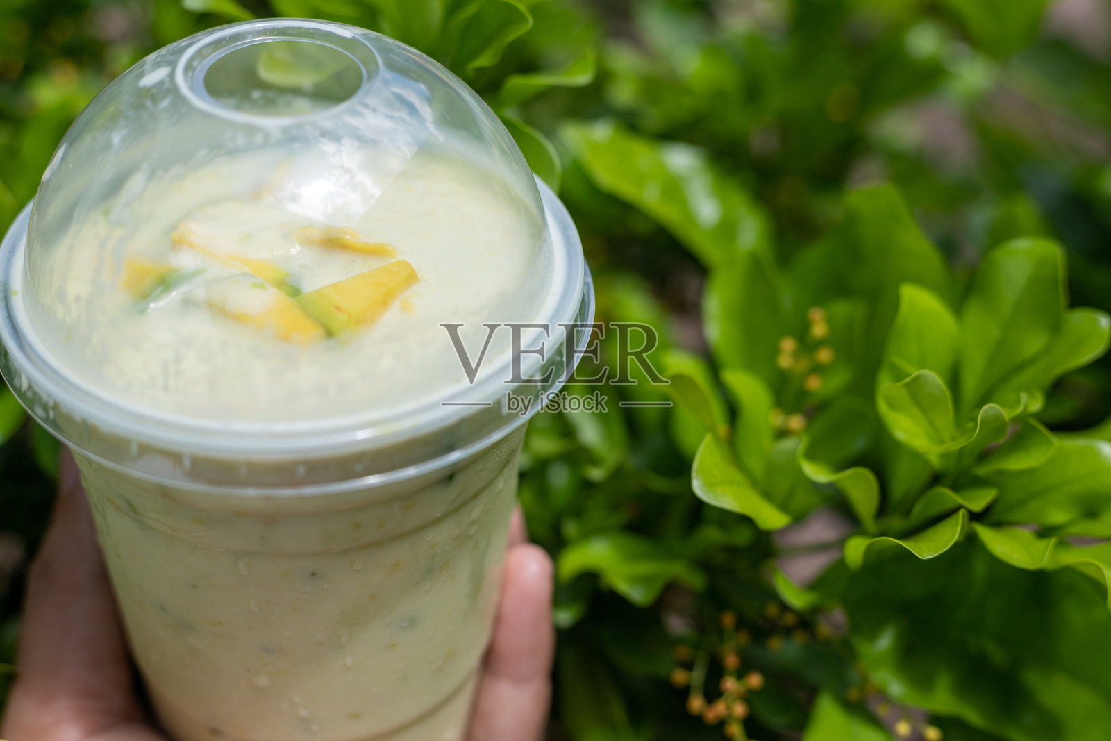 一碗鳄梨酱放在一堆绿色鳄梨上。照片摄影图片