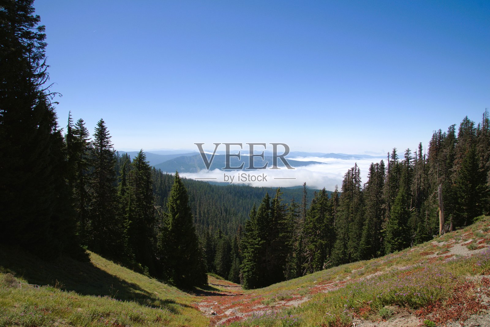 从胡德山高处俯瞰被云雾环绕的喀斯喀特山脉景观照片摄影图片