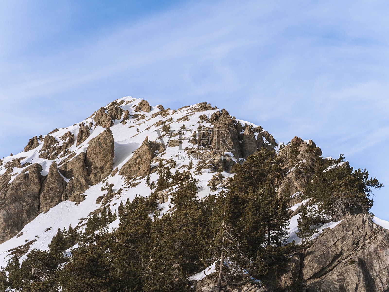 被松树环绕的法国阿尔卑斯山雪顶峰照片摄影图片