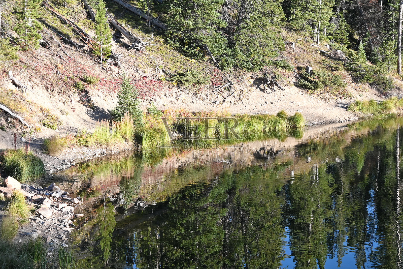 平静水面的倒影照片摄影图片