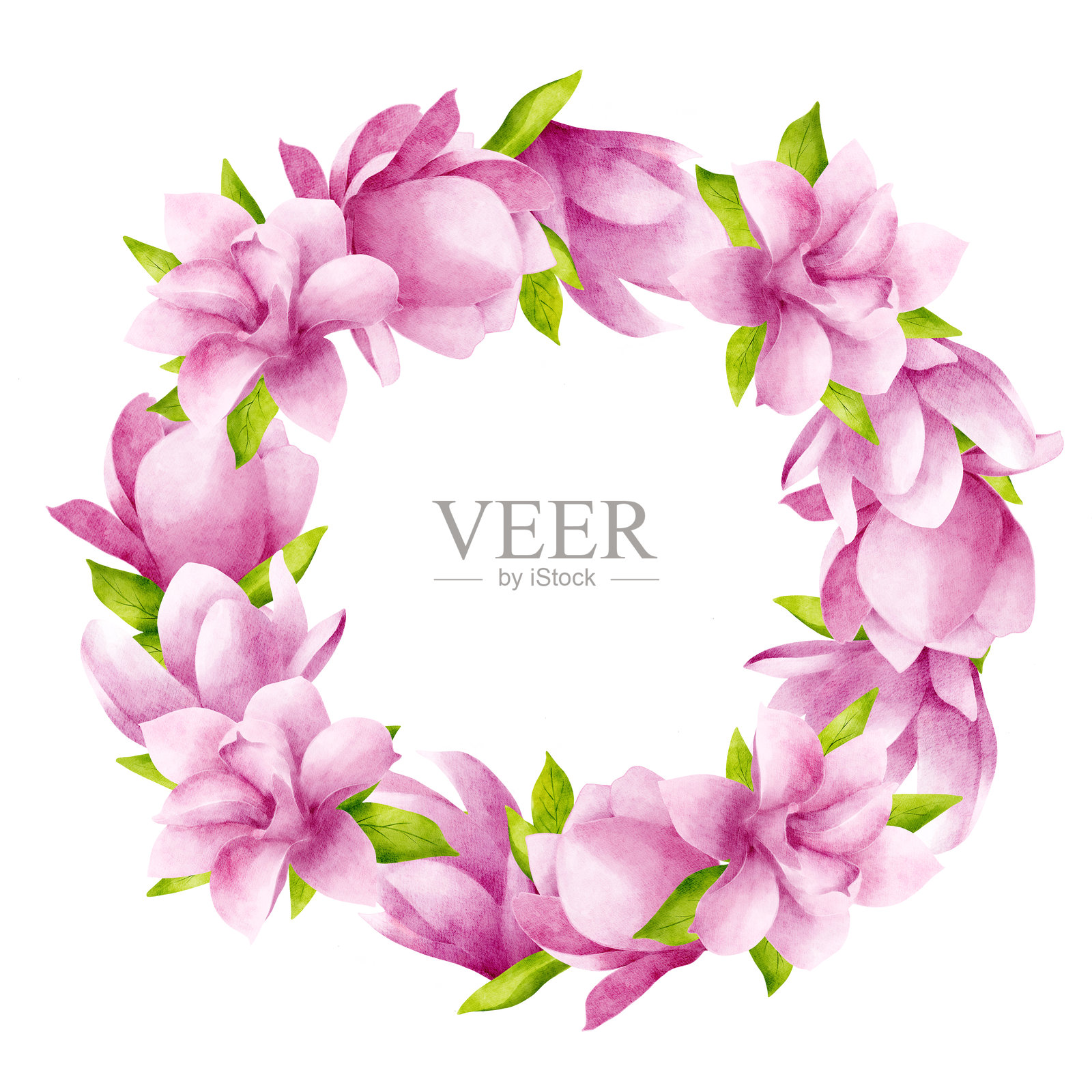 粉色美丽的木兰花与叶子。手绘水彩插图。花环,圆形框架,白色背景上留空以便填写文字。照片摄影图片