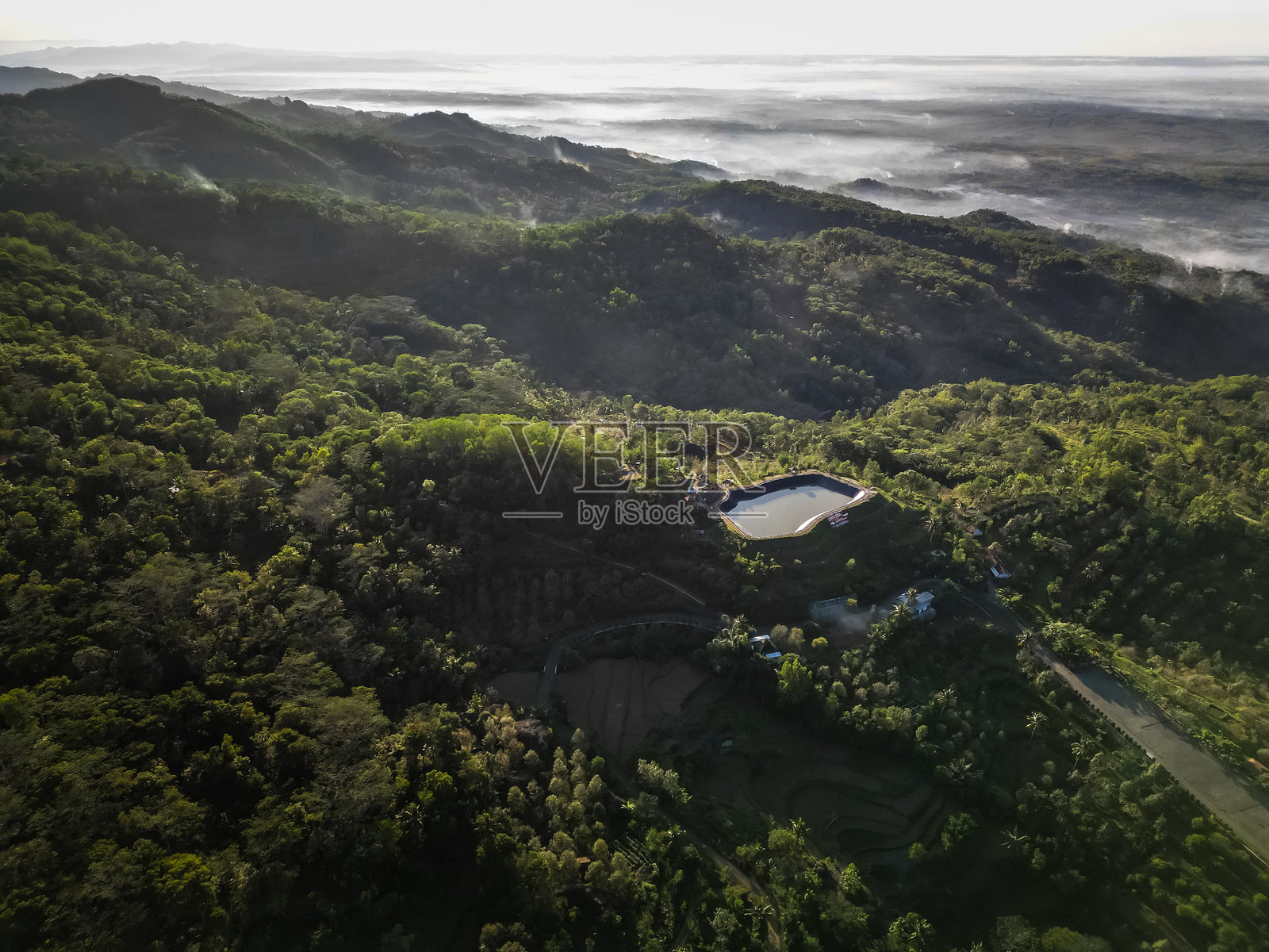 山丘上浓密的自然森林树木的鸟瞰图,晨雾弥漫。雾气弥漫的丛林。国际森林日和世界环境日的主题。照片摄影图片