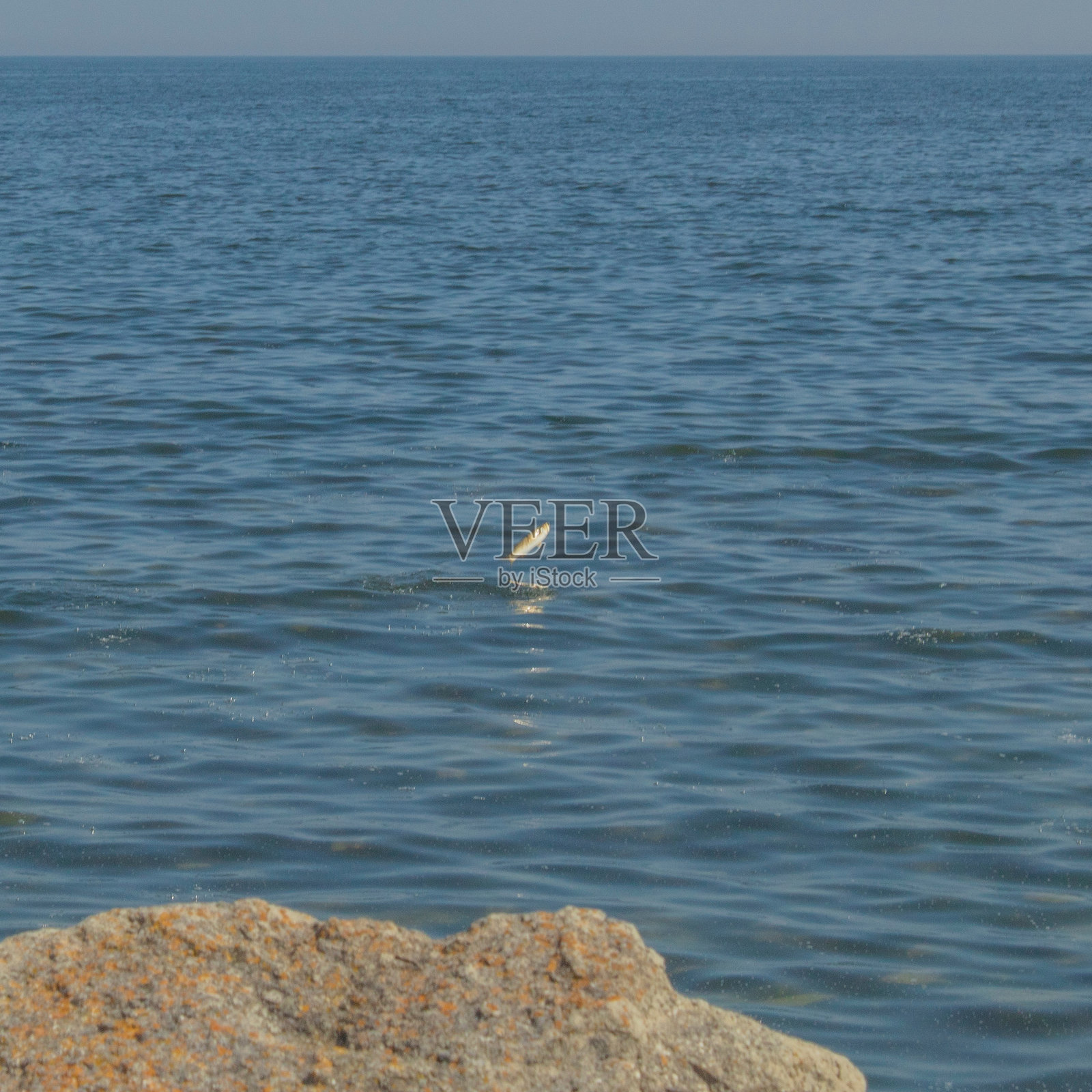 海洋,海岸 - 欧洲,罗马尼亚,康斯坦察地区照片摄影图片