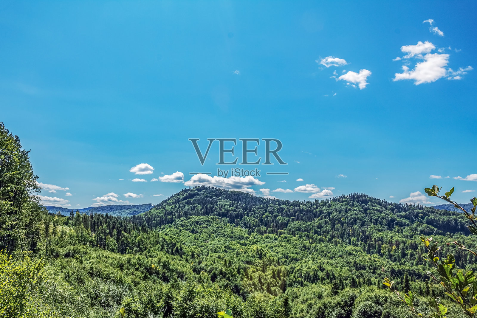 风景 - 森林 - 欧洲,罗马尼亚,苏恰瓦地区照片摄影图片