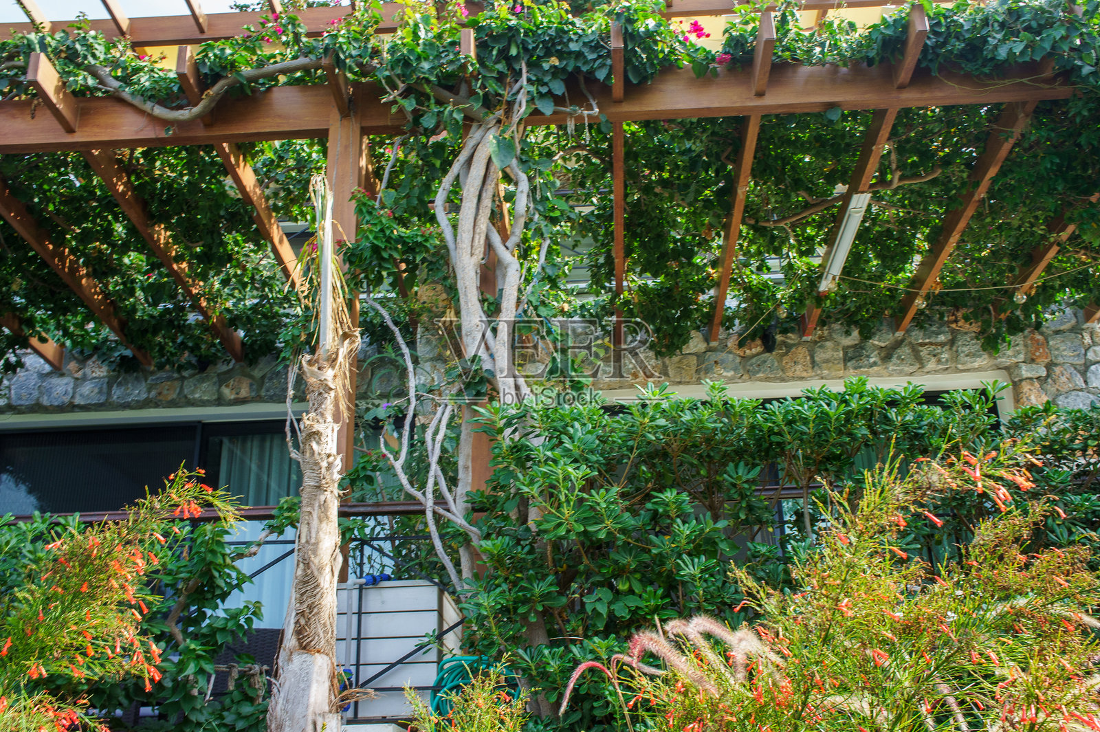 宁静的花园休闲区,绿意盎然,木质凉棚坐落在舒适的石头建筑中,周围环境宁静。照片摄影图片