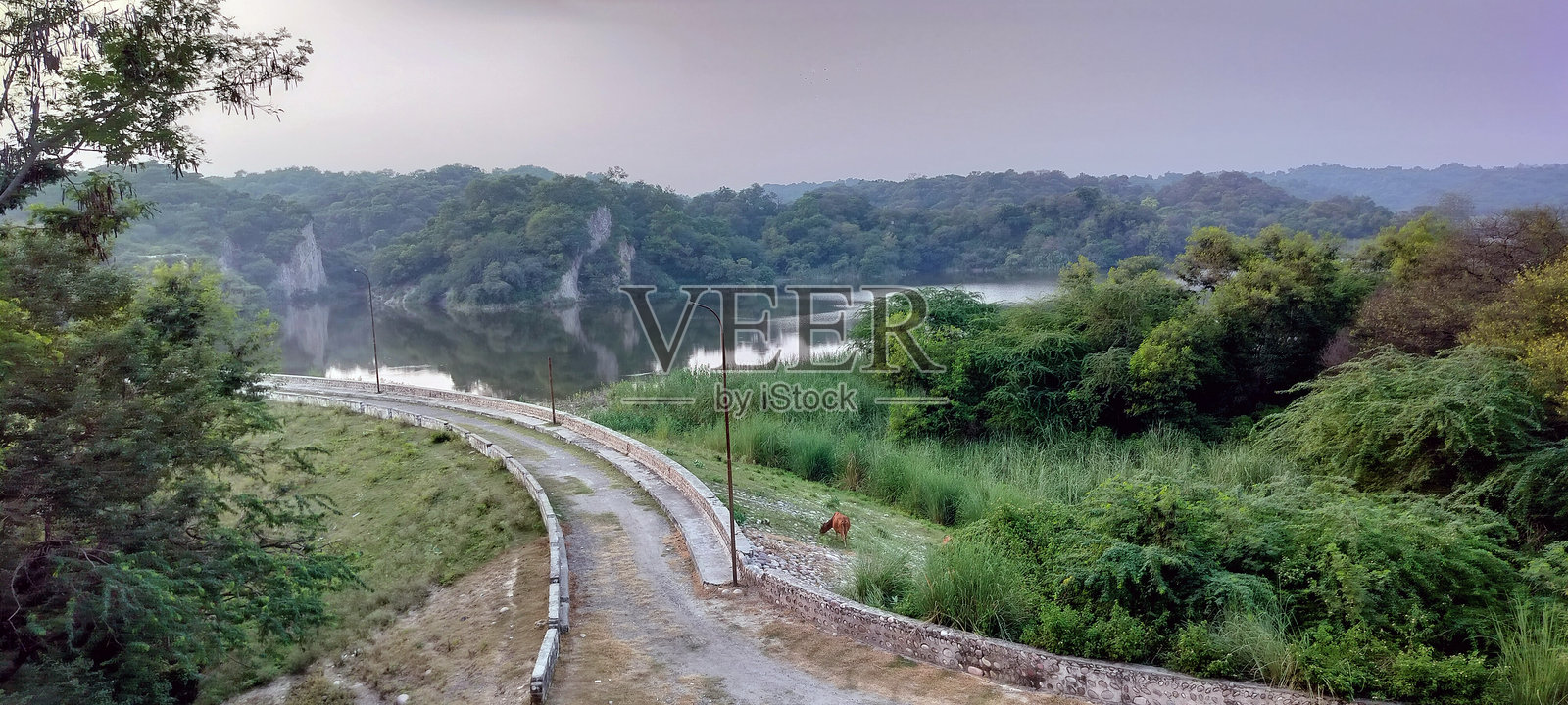 沿着弯曲的道路,绿树成荫的池塘全景照片摄影图片