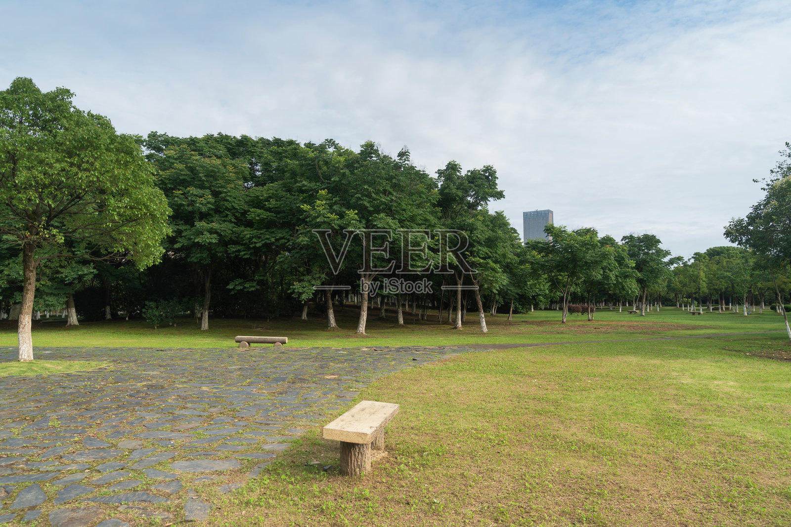 美丽的城市公园全景照片摄影图片