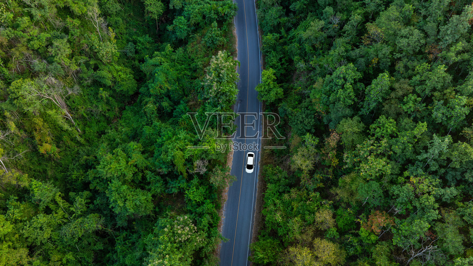 深绿色森林道路和白色电动车的鸟瞰图,自然风光与高架道路,冒险旅行、交通与环保理念。照片摄影图片