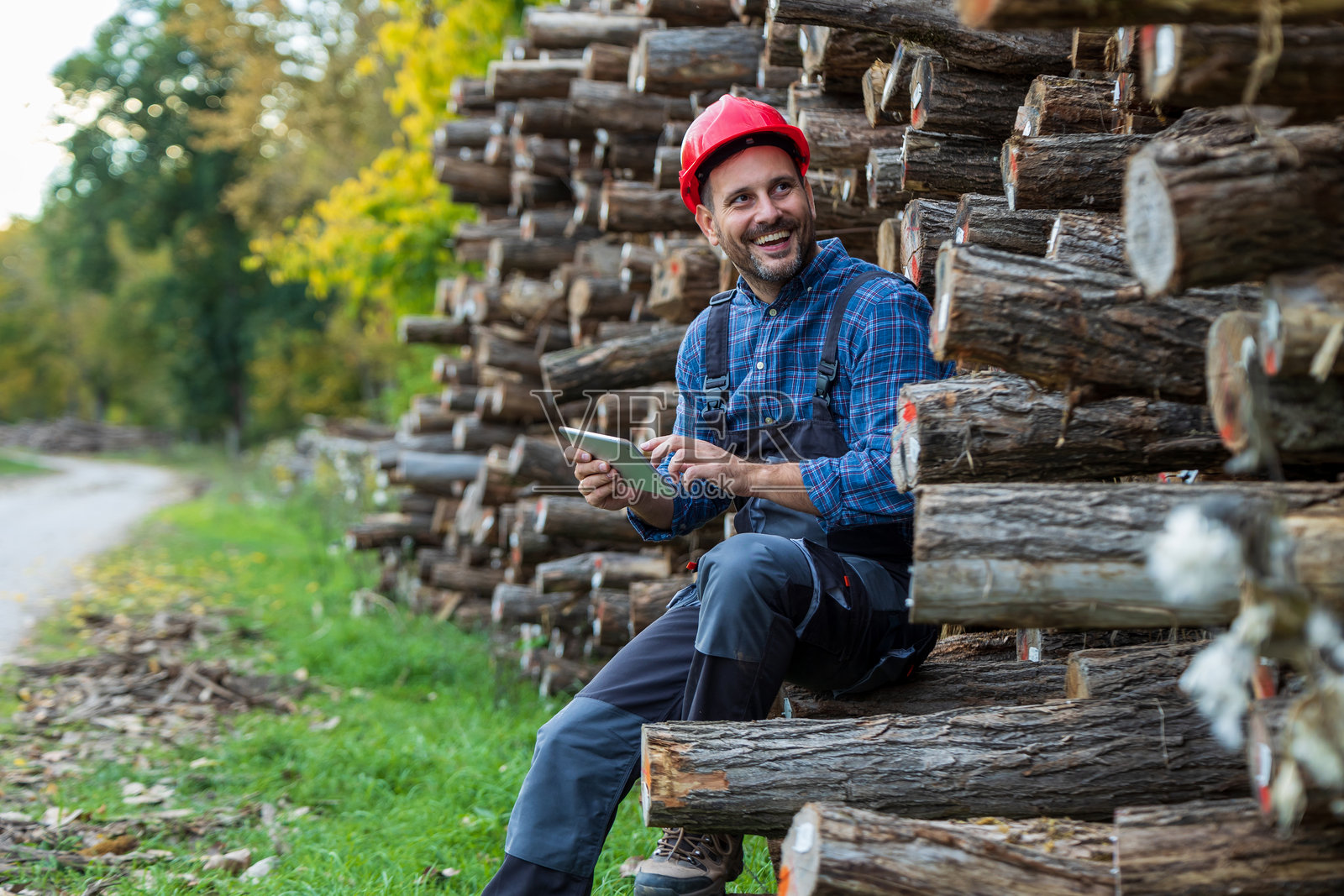 林务工在森林中使用平板电脑检查树干照片摄影图片