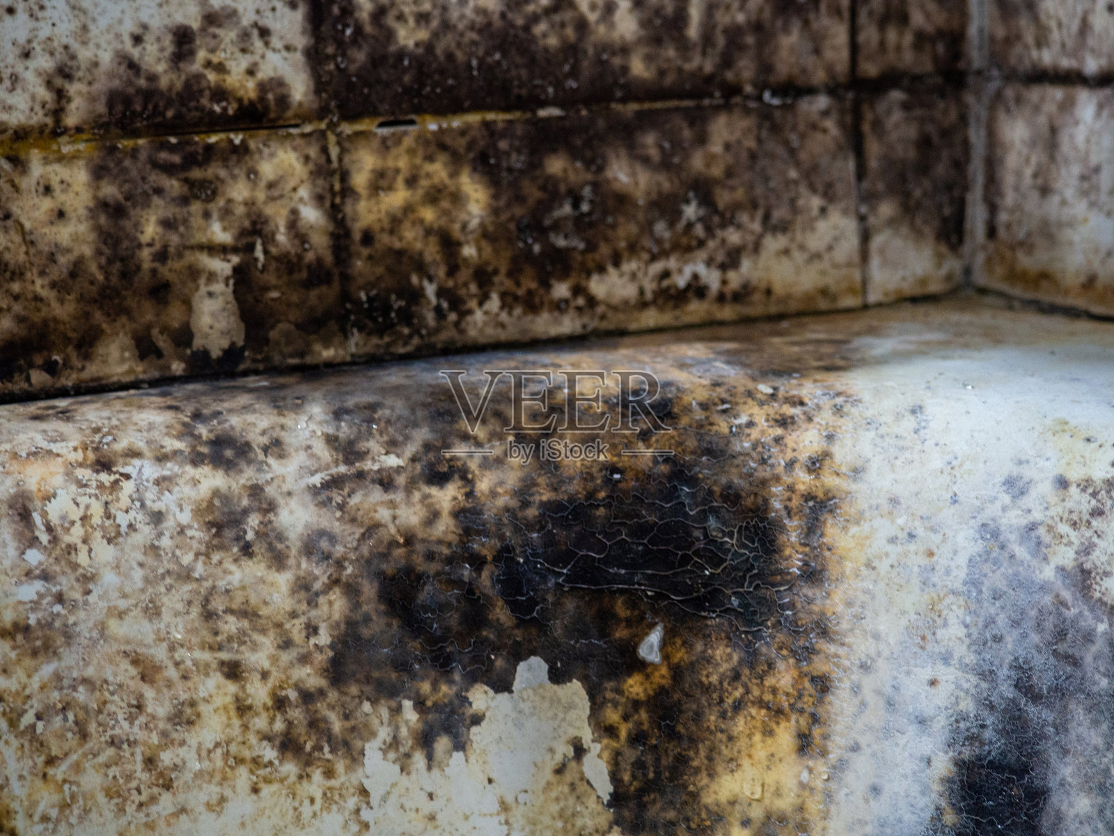 浴室瓷釉上的黑霉。病原菌。公寓内霉菌的概念。照片摄影图片