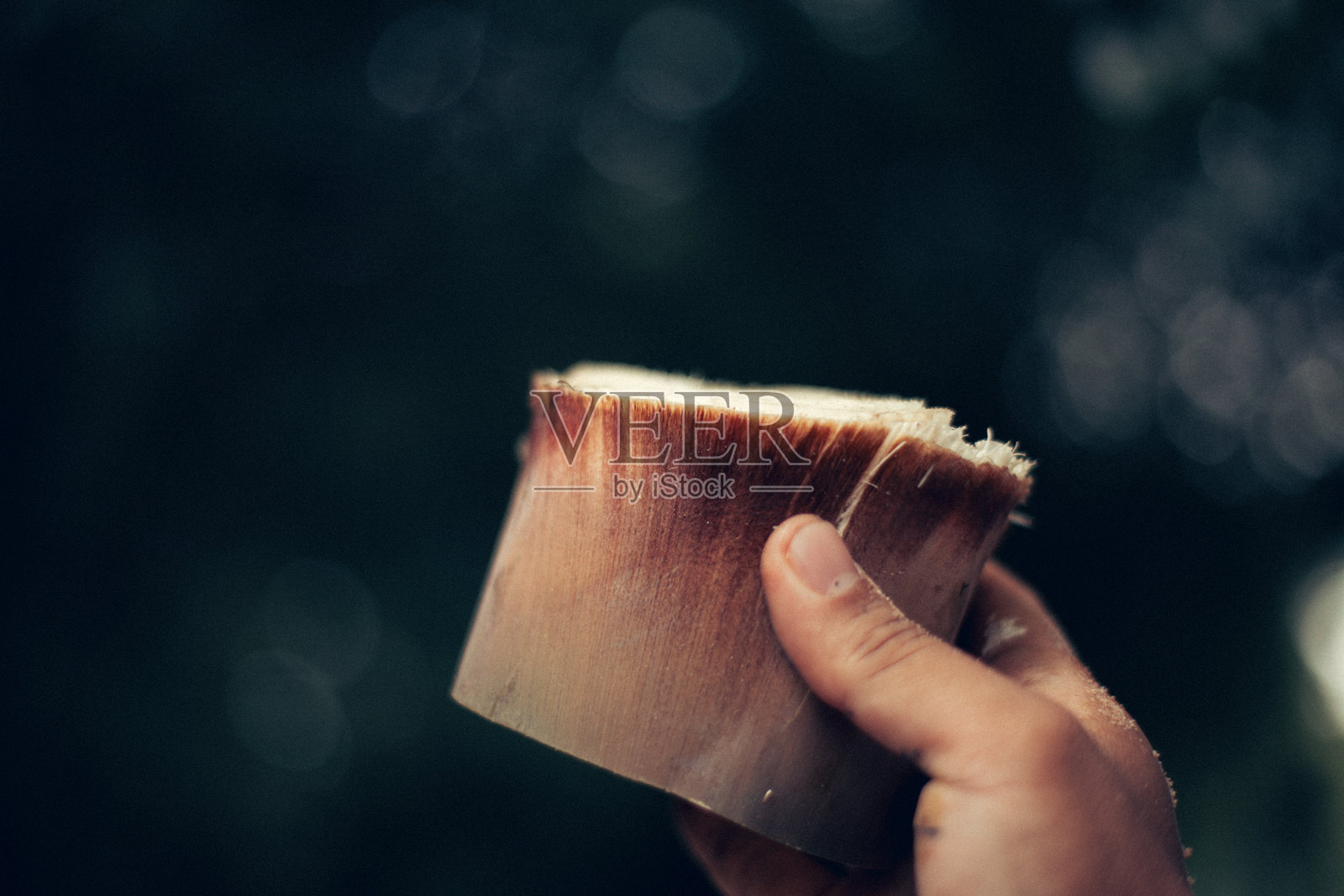 新鲜竹笋照片摄影图片