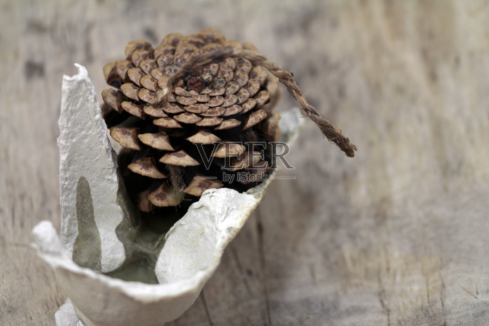 木头上的松果特写照片摄影图片