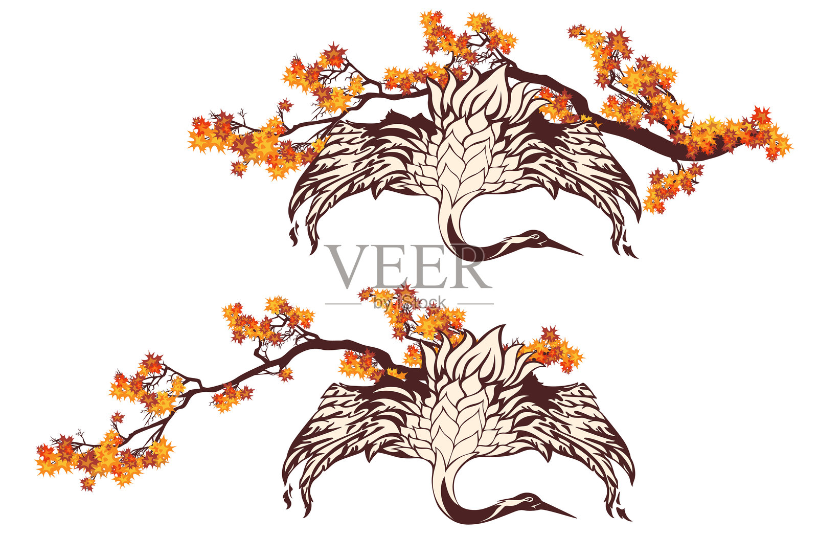 秋天枫树枝上展开翅膀的日本鹤鸟矢量设计插画图片素材