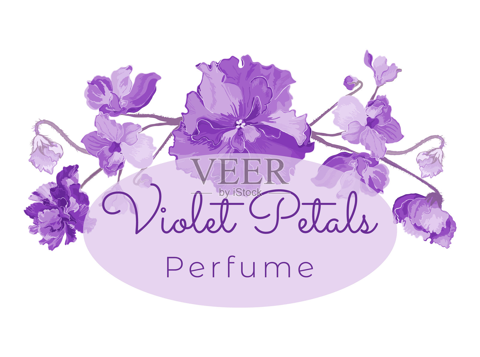 植物或草本产品的矢量插图插画图片素材