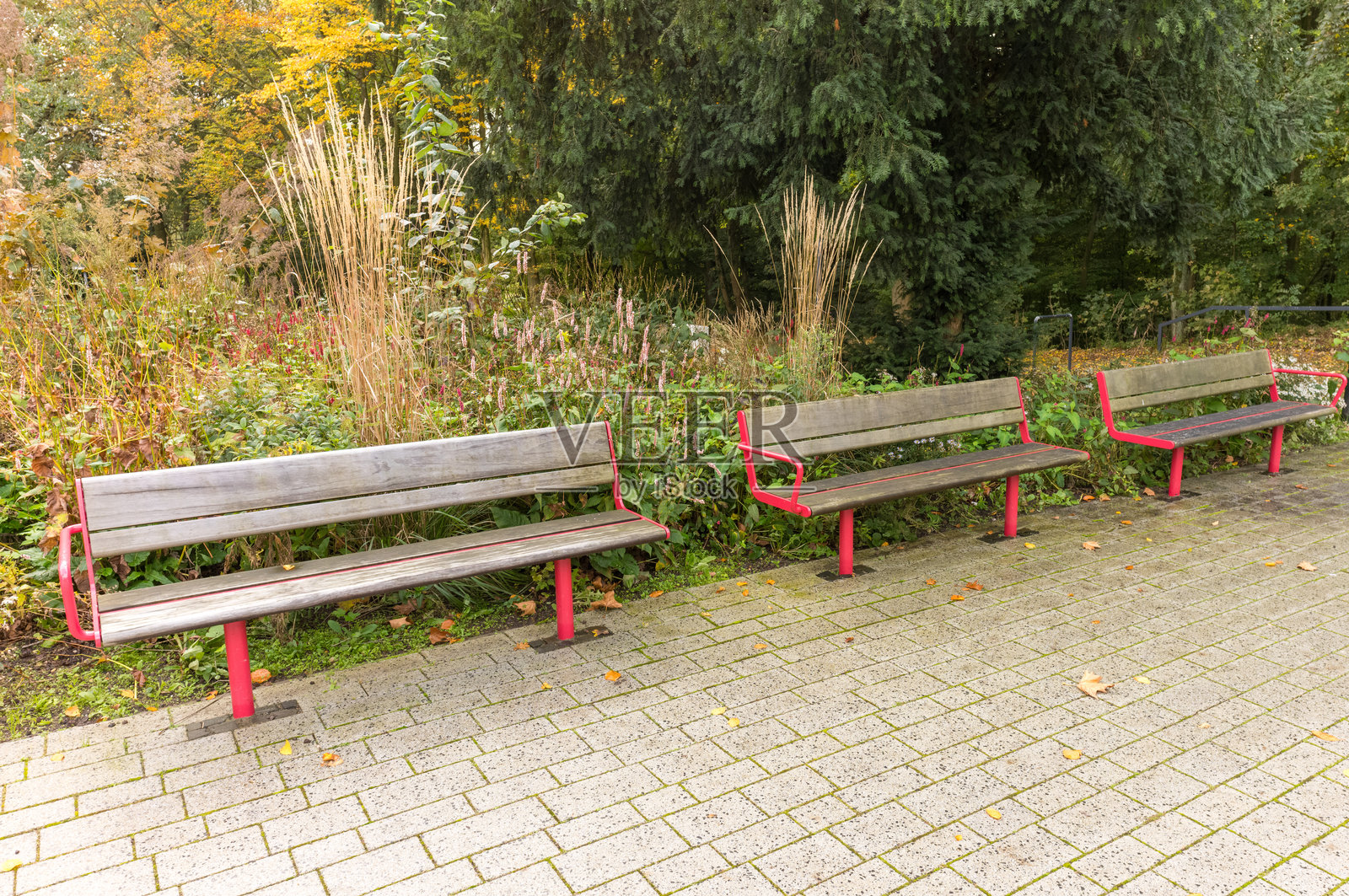 秋日美景中的公园空荡荡的长椅照片摄影图片