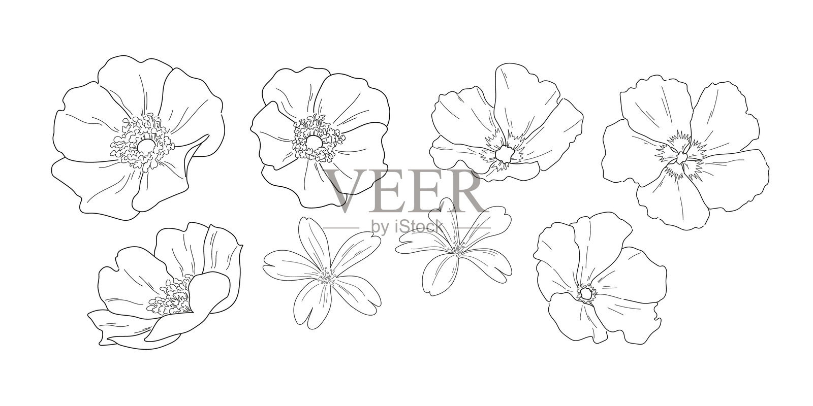 一套手绘矢量轮廓花。插画图片素材