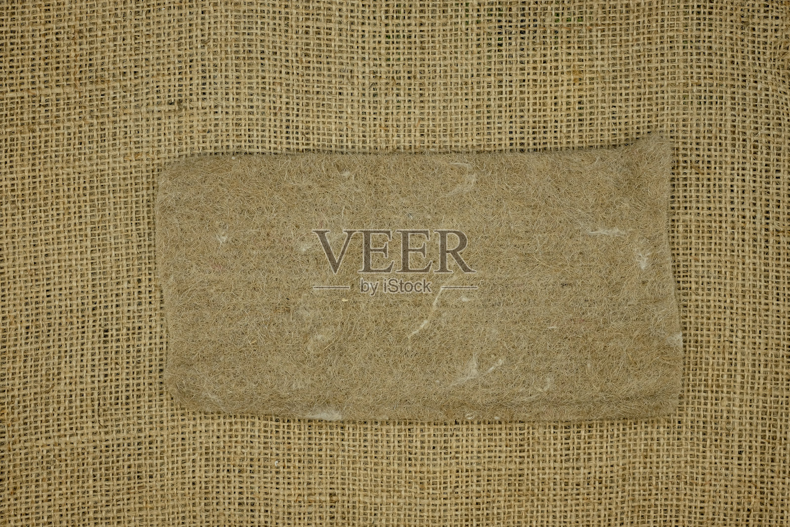 微型绿植生长垫。微型绿植生长垫。照片摄影图片