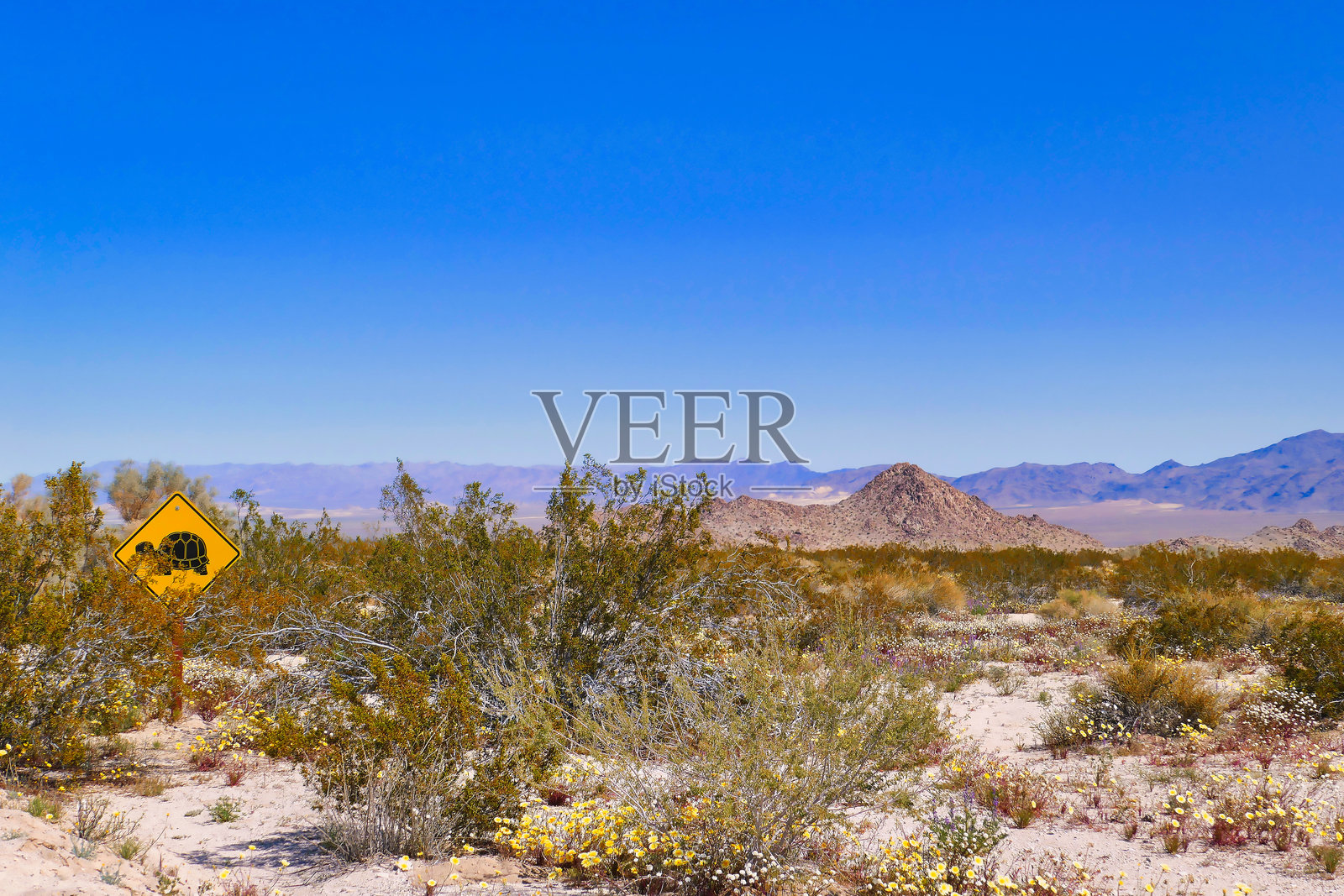 一块警告司机注意莫哈维沙漠中乌龟的标志照片摄影图片