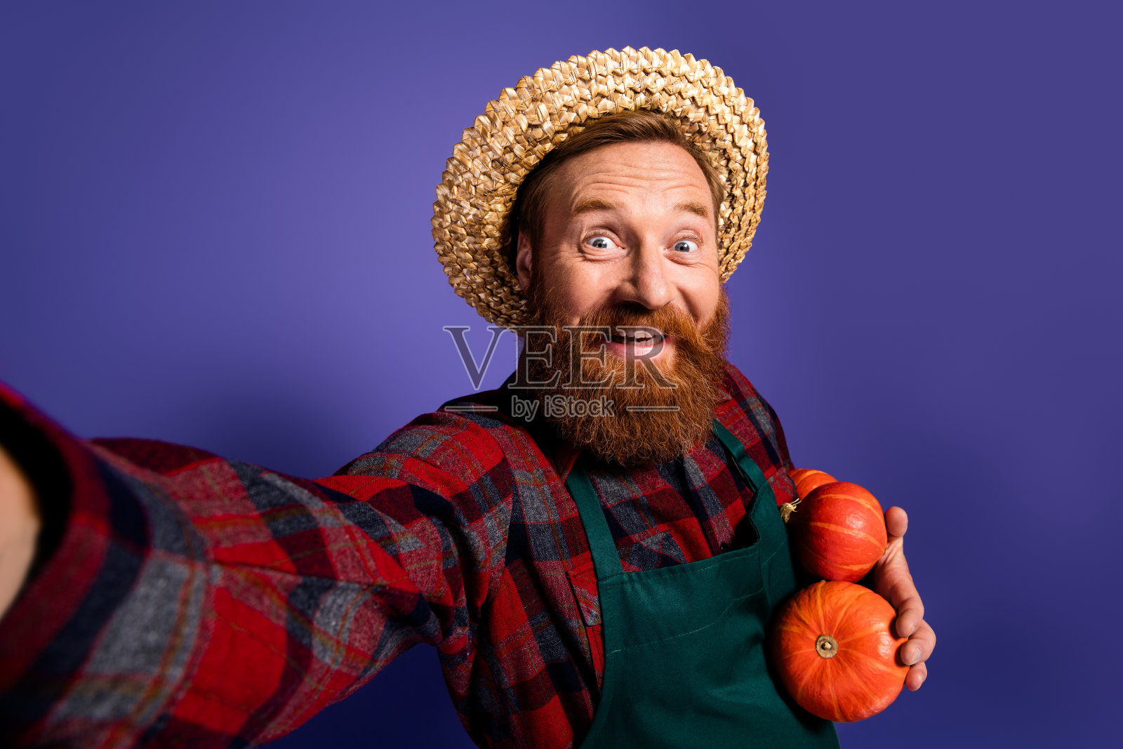穿着格子衬衫的男农民在紫色背景下庆祝万圣节,手持季节性收获。照片摄影图片