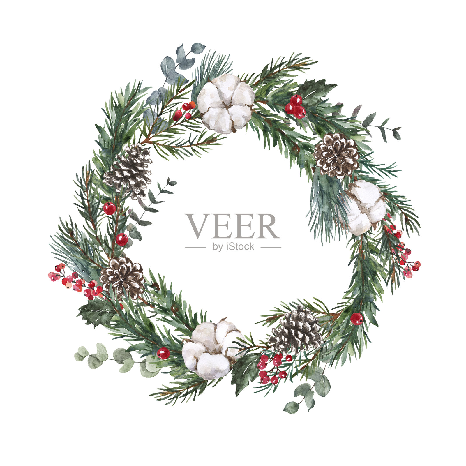 水彩冬季节日花环,装饰有松树绿叶、桉树、红色浆果、松果和棉花,背景为白色。圣诞花环。照片摄影图片