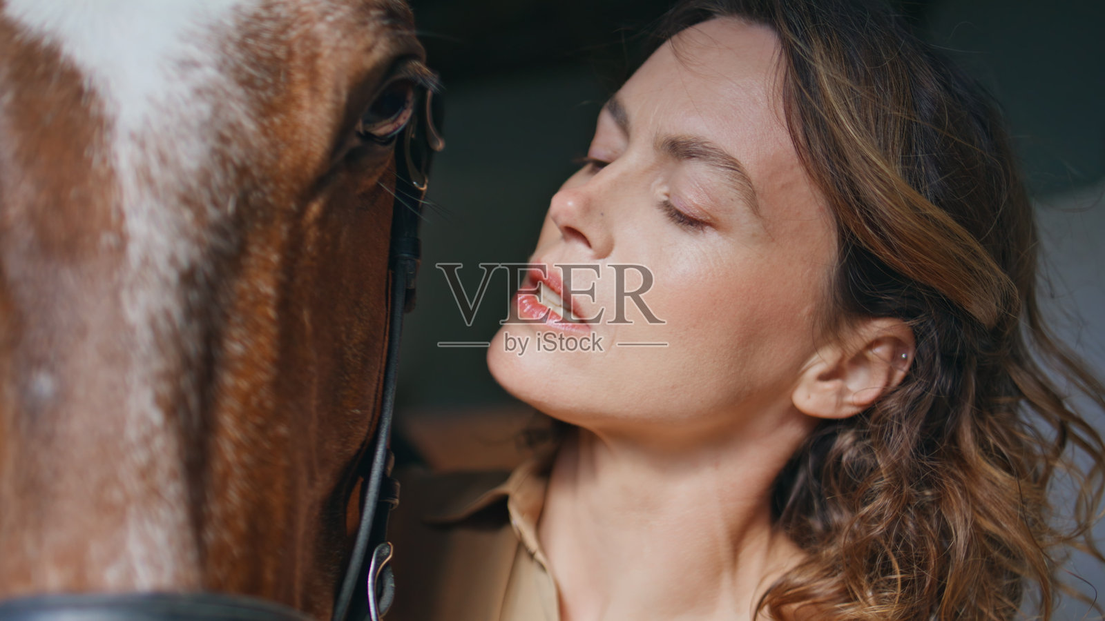 温柔的女骑手在马厩里与马交流,特写镜头。女士在马场工作。照片摄影图片