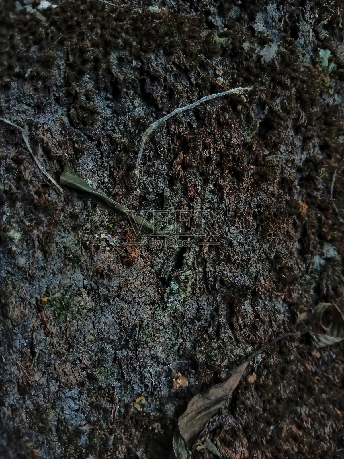 脏土的纹理照片摄影图片