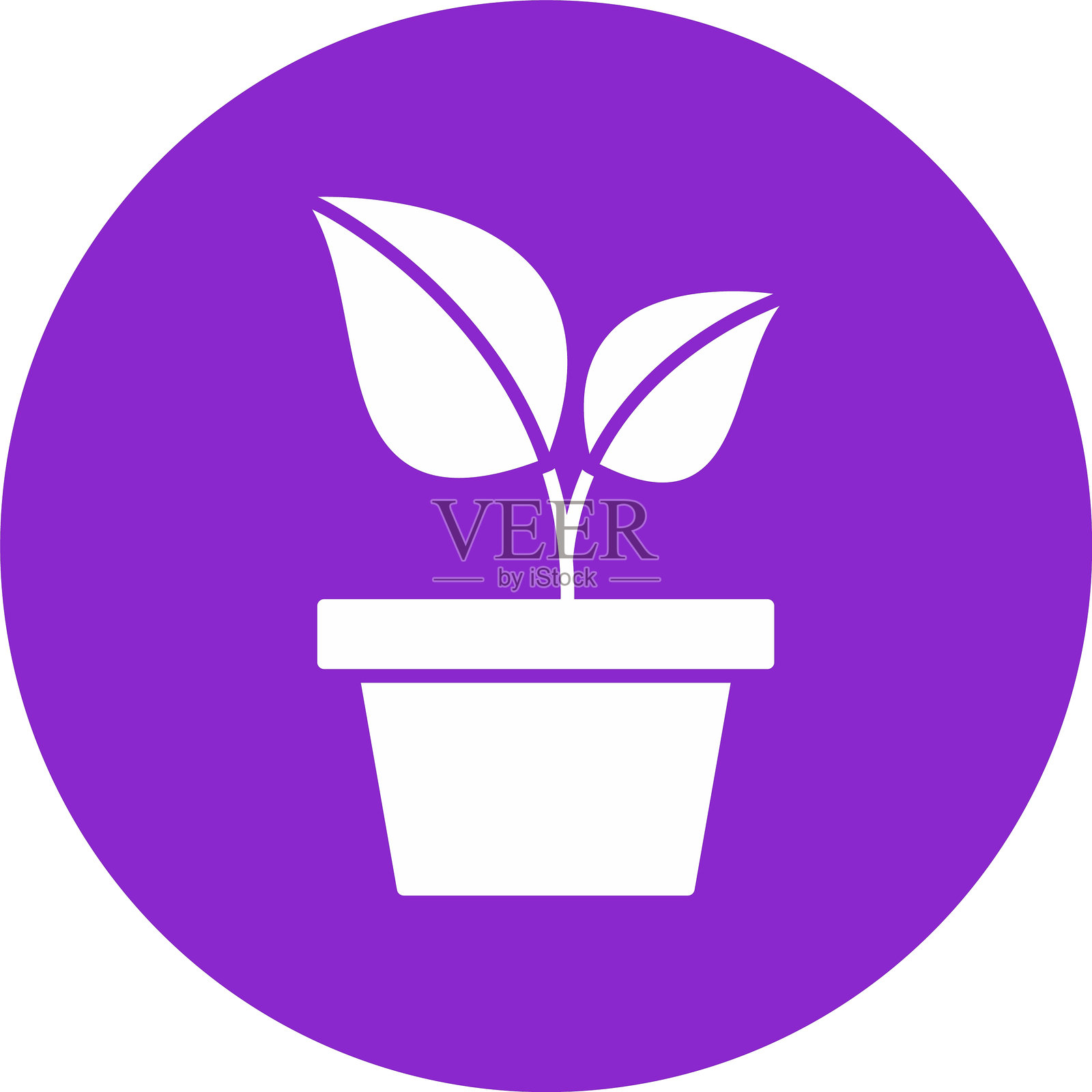 植物符号圆形图标插画图片素材