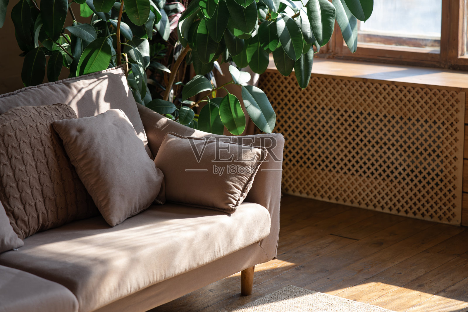 阳光明媚的客厅里,室内植物的影子投射在沙发垫上。照片摄影图片