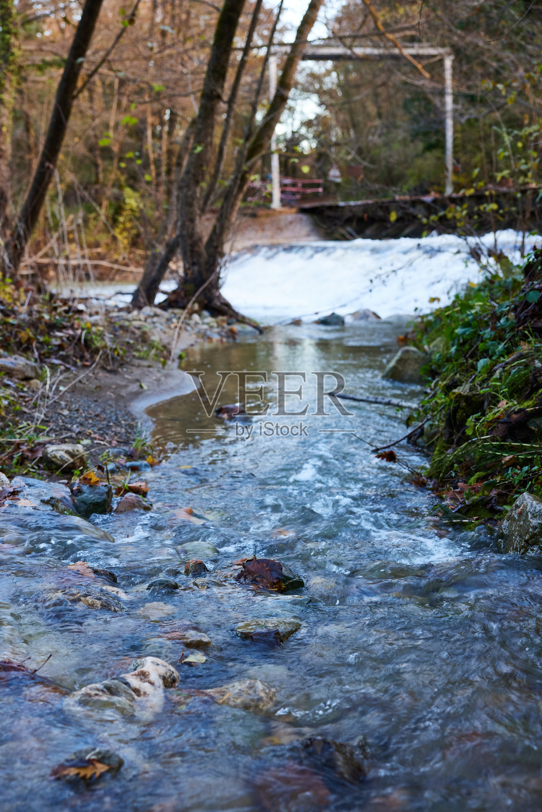 美丽的森林中流淌的河流景观照片摄影图片