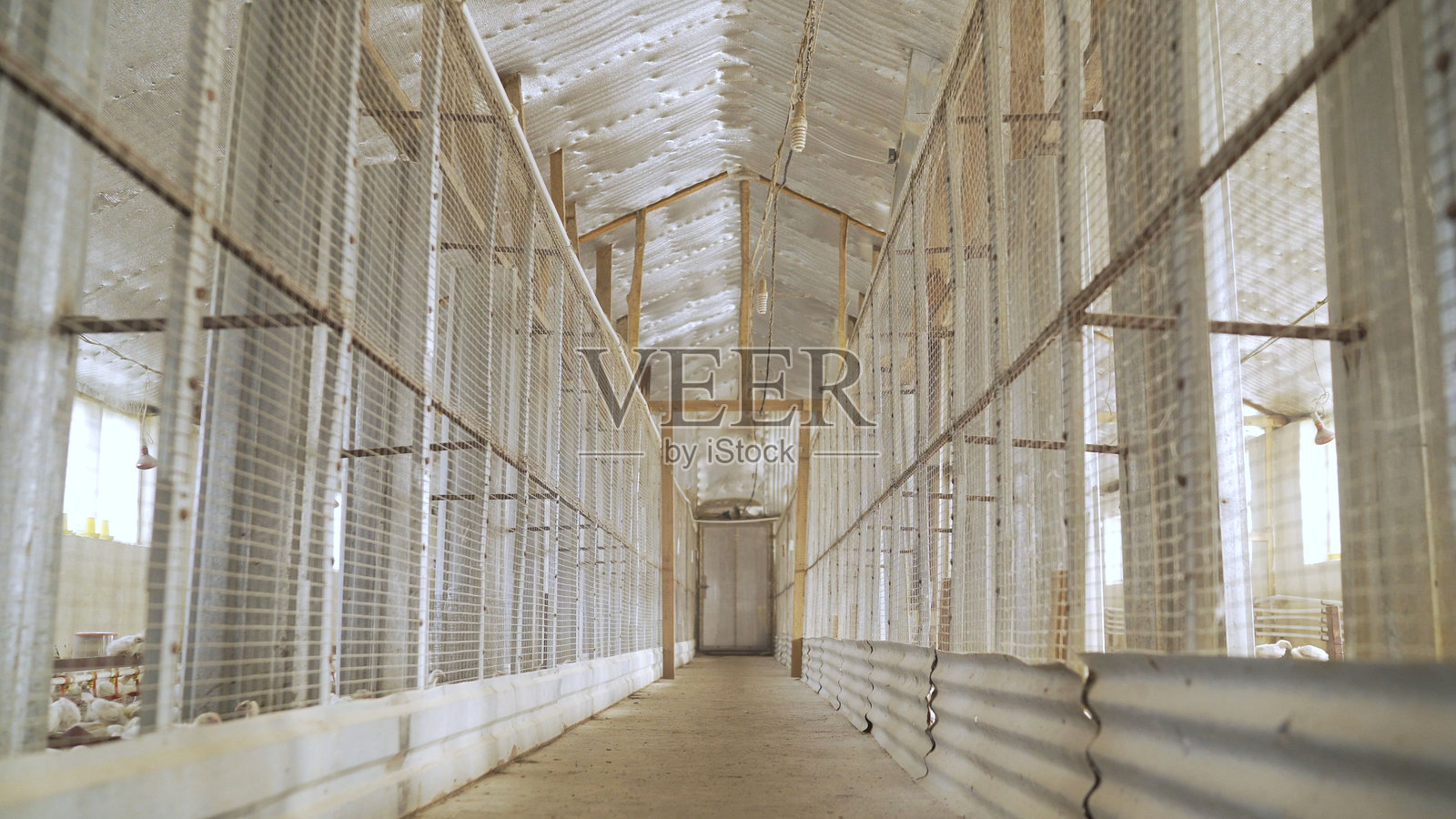 空荡荡的鸡舍,墙上有排排笼子和金属格栅照片摄影图片
