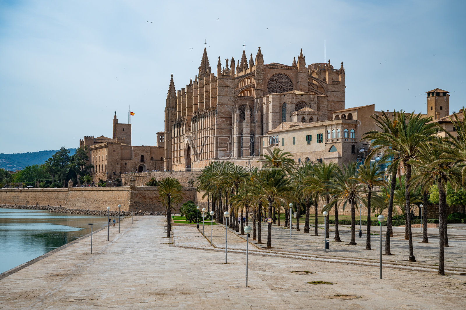 马略卡岛帕尔马的圣玛丽亚大教堂(La Seu)背面,远处湖泊和公园的景观照片摄影图片