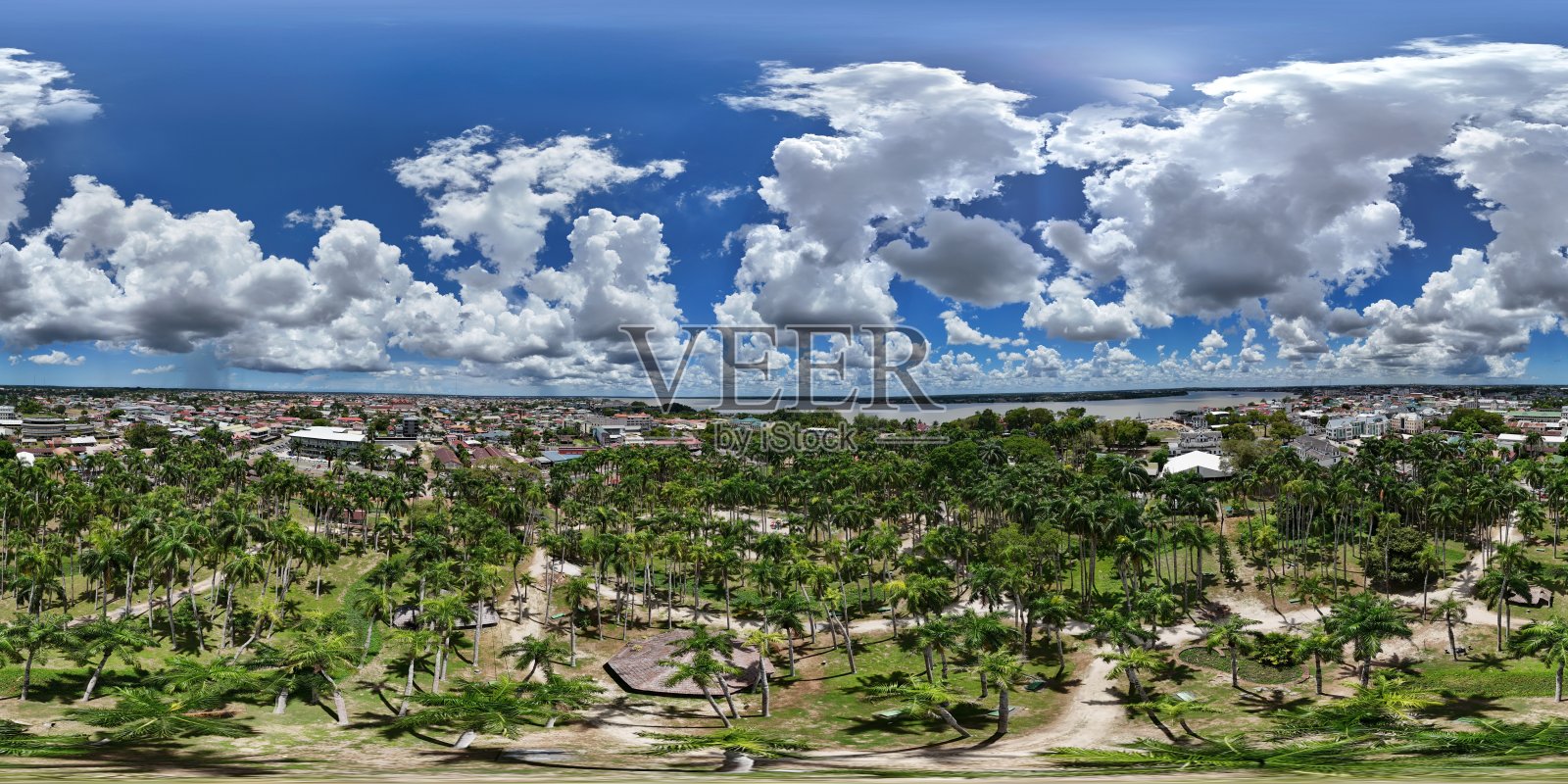 用无人机拍摄的苏里南帕拉马里博棕榈树花园的360度航拍照片照片摄影图片