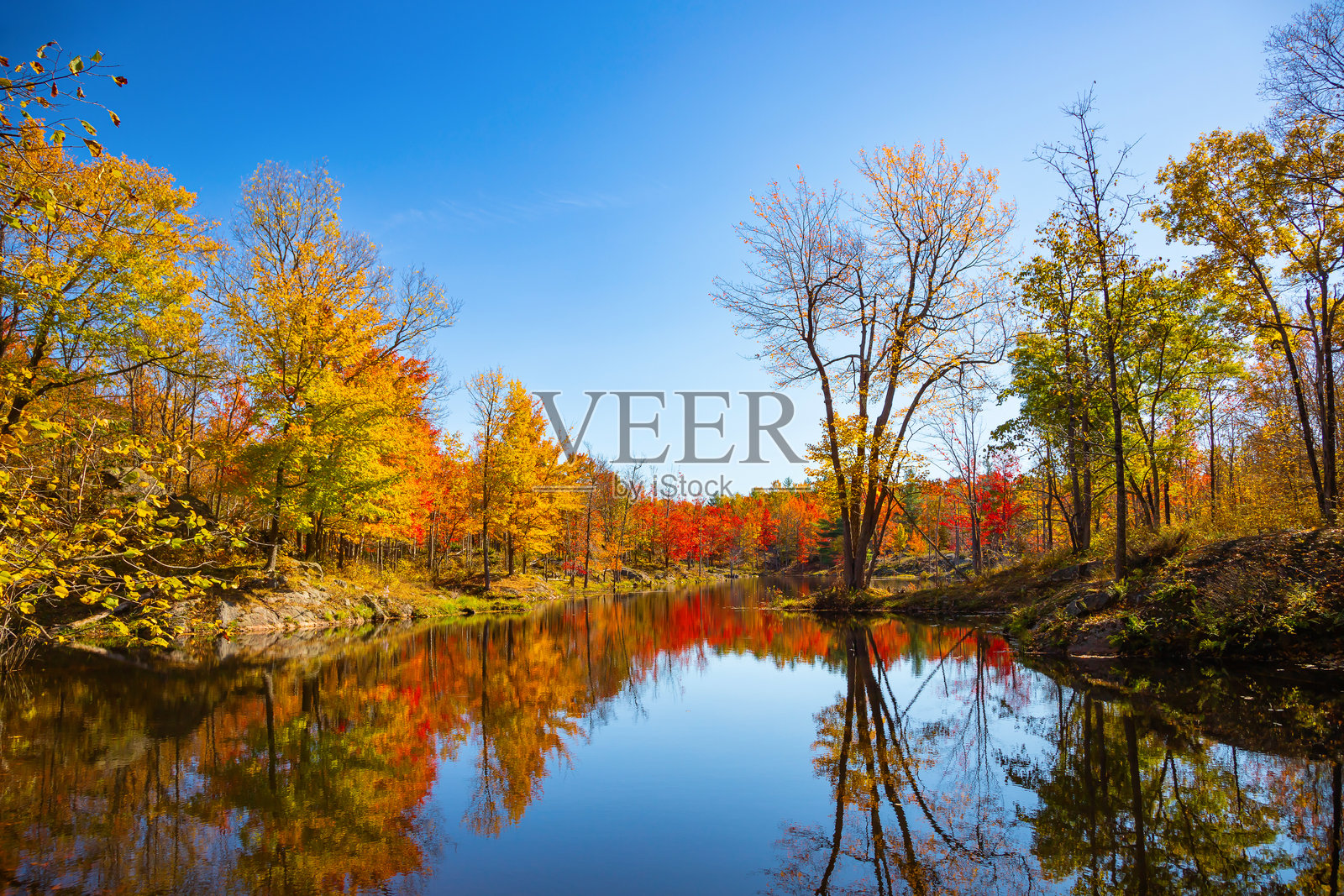 明亮而生动的秋天树叶颜色在湖水镜面上反射,周围是沼泽地区,位于加拿大安大略省的弗朗特纳克公园。照片摄影图片
