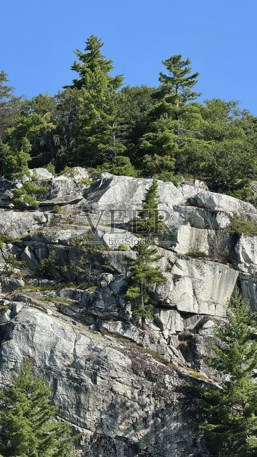 安大略省乔治亚湾北通道的白色石英岩悬崖照片摄影图片