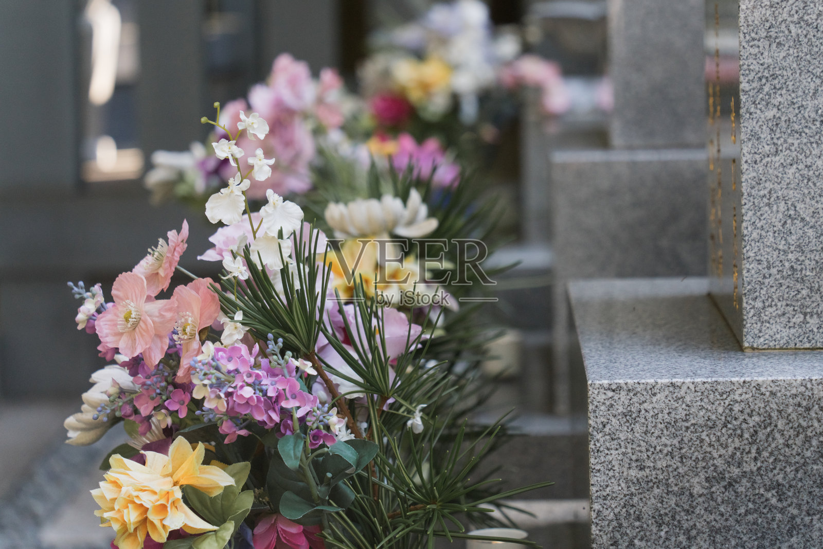 鲜花摆放在墓前照片摄影图片