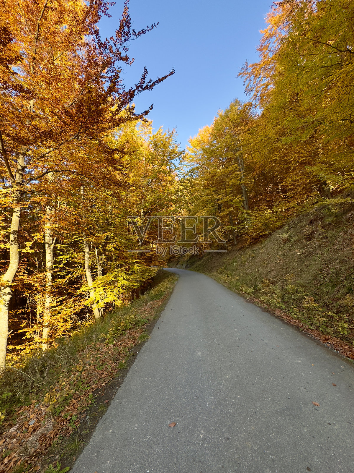 美丽的自然照片摄影图片
