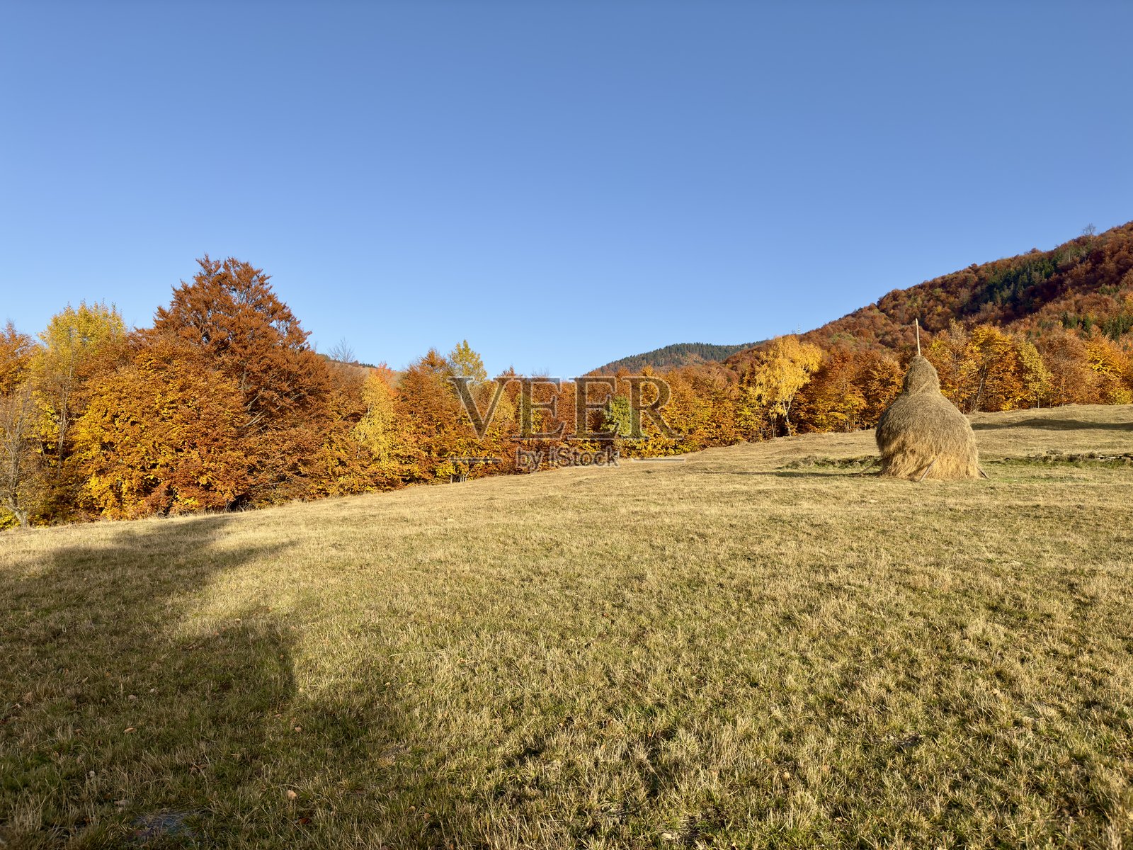 美丽的自然照片摄影图片