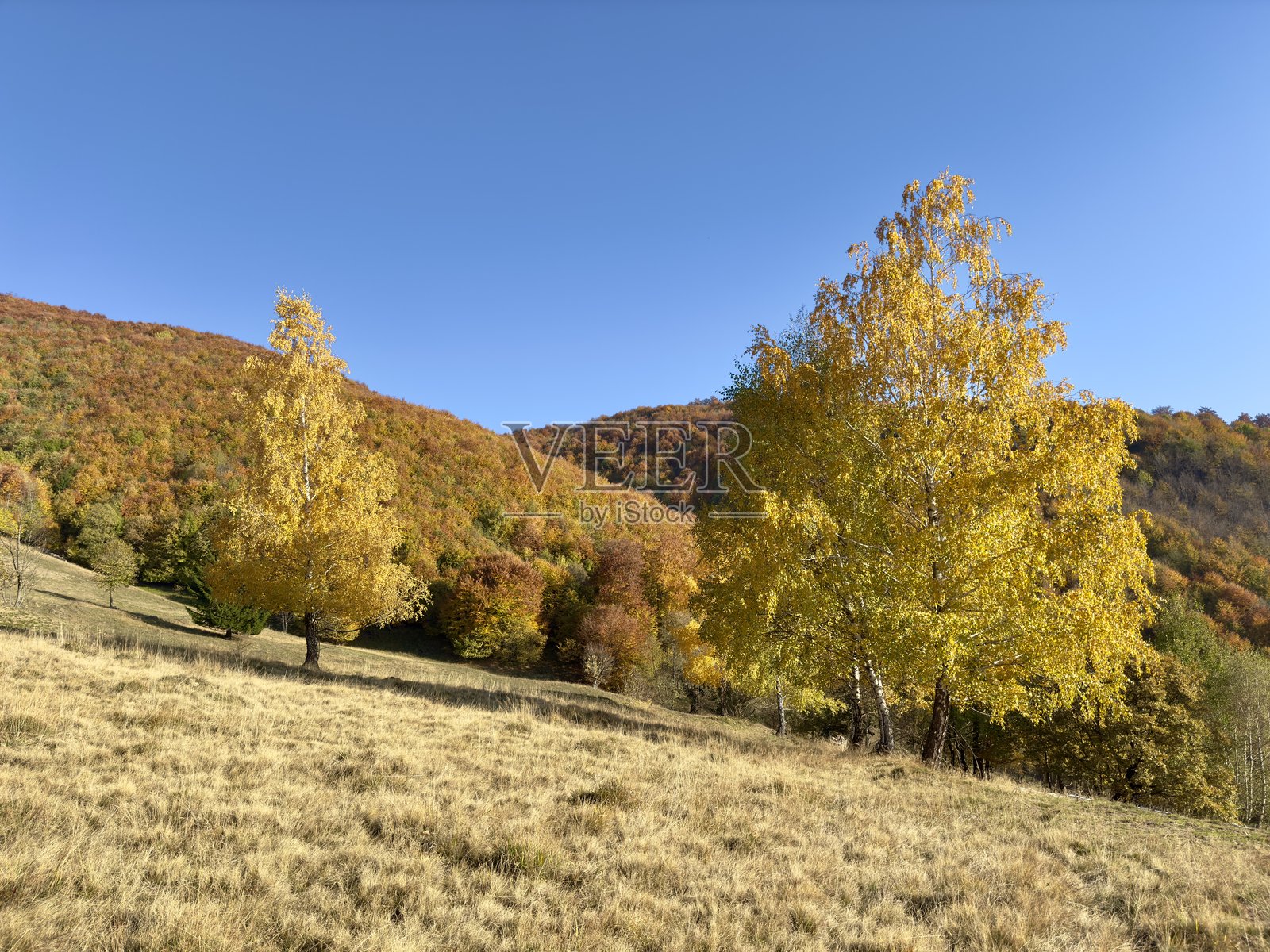 美丽的秋季色彩照片摄影图片