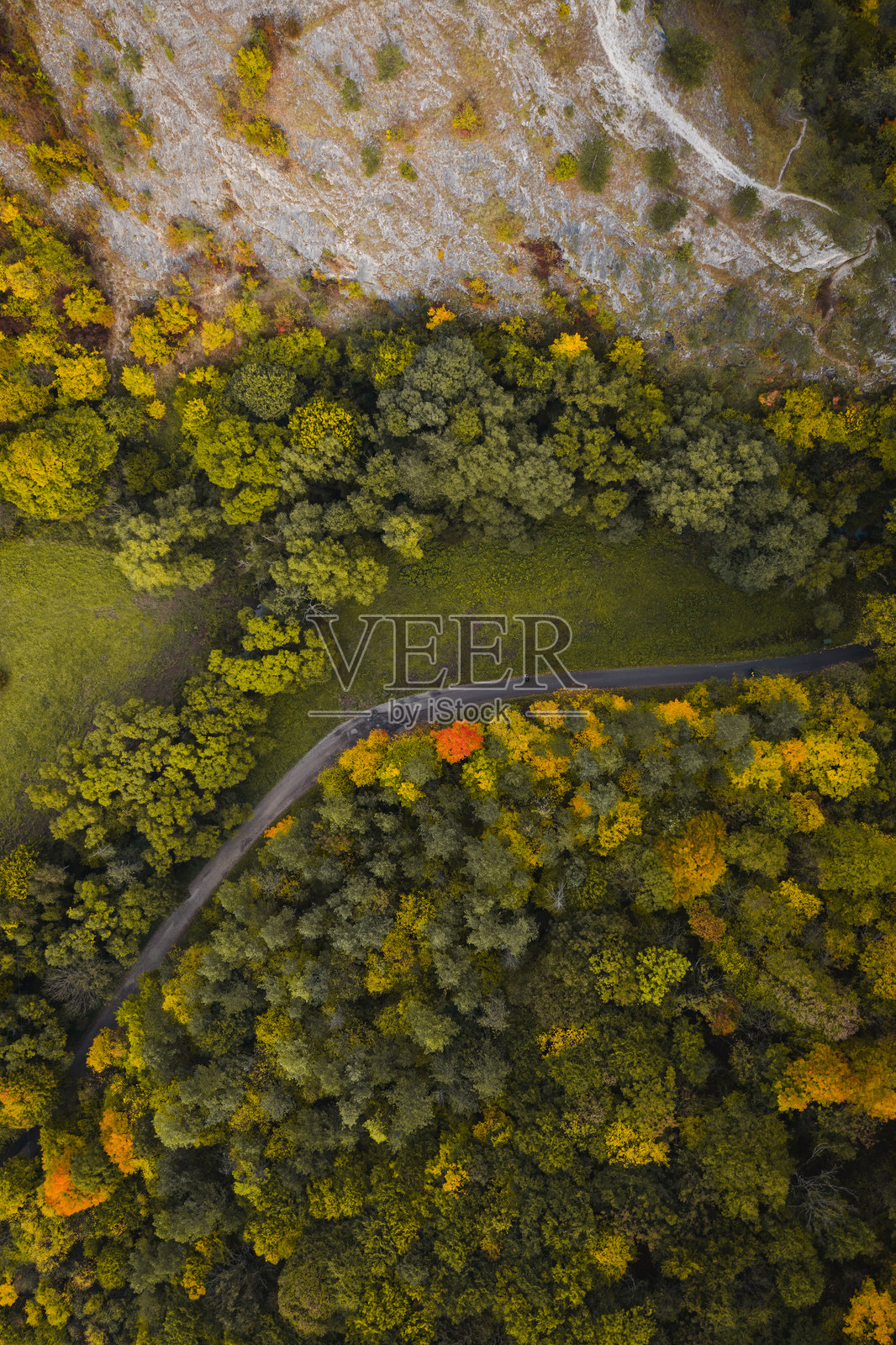 秋季森林中蜿蜒道路的鸟瞰图照片摄影图片