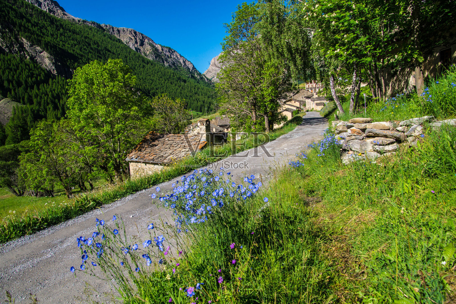 乌巴耶谷照片摄影图片