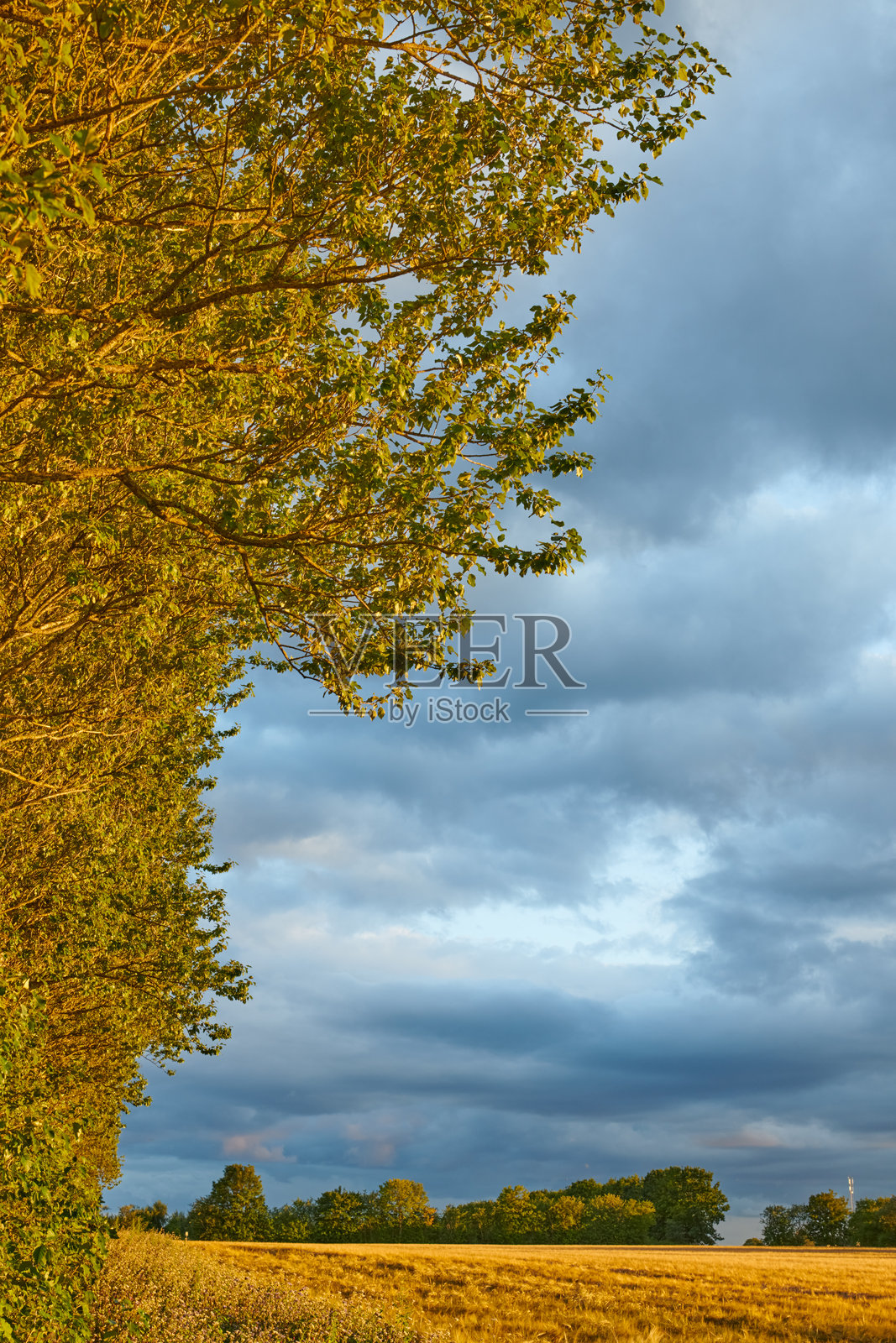 五彩斑斓的秋天照片摄影图片