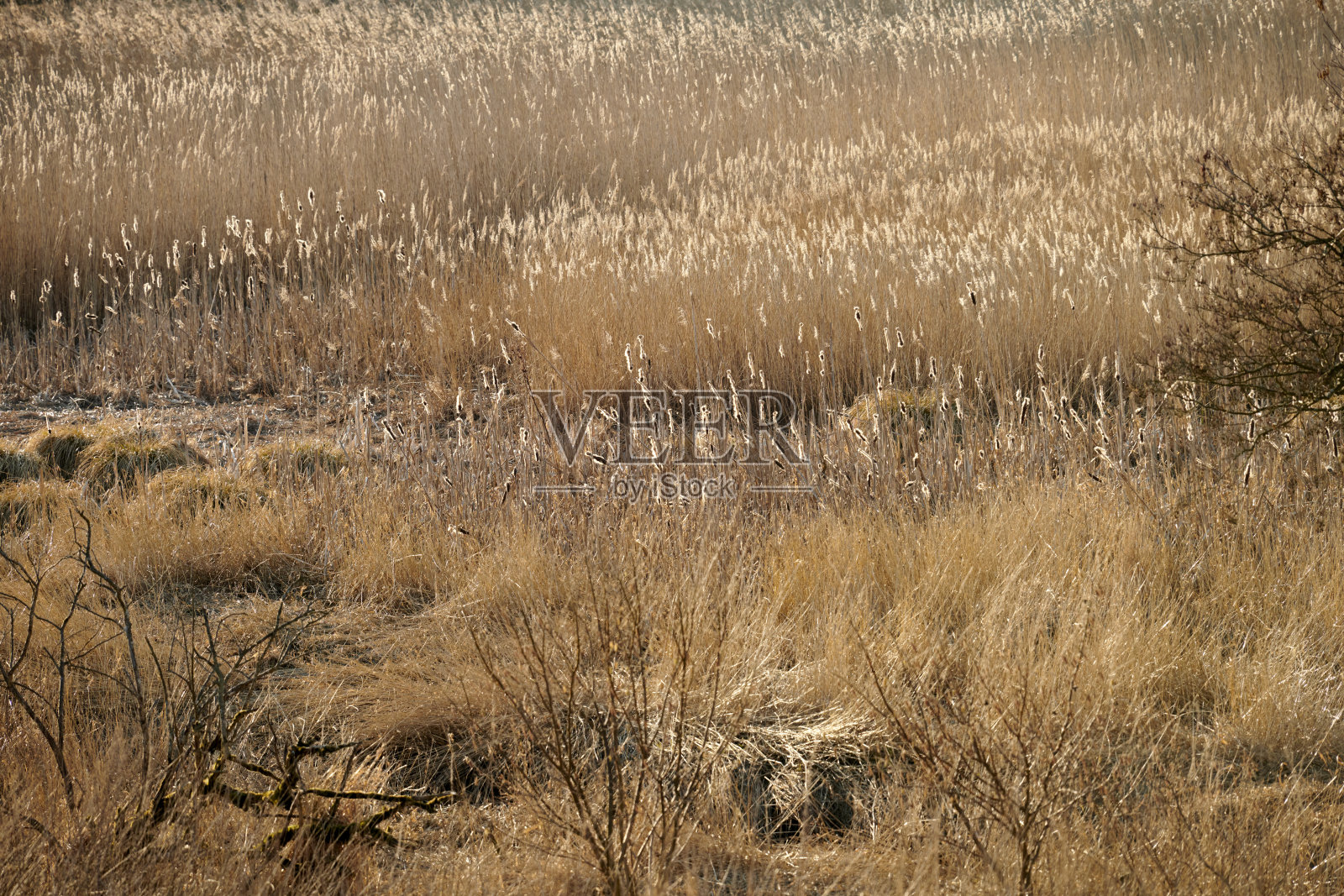 五彩斑斓的秋天照片摄影图片