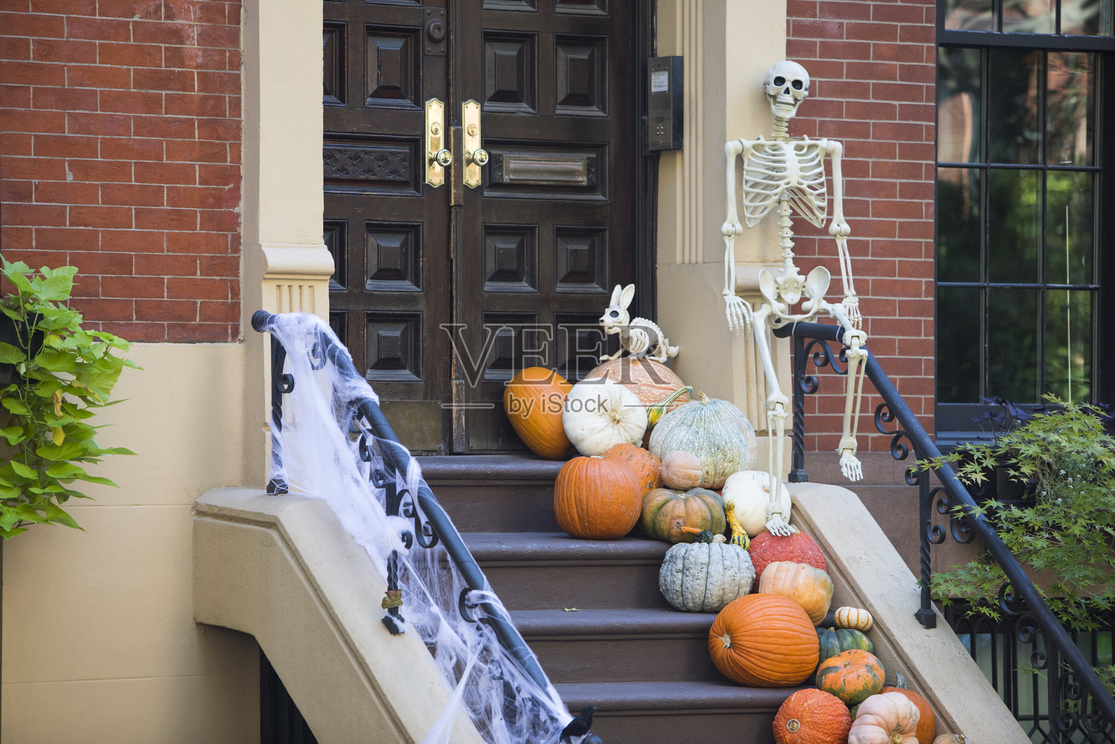 纽约市的万圣节照片摄影图片