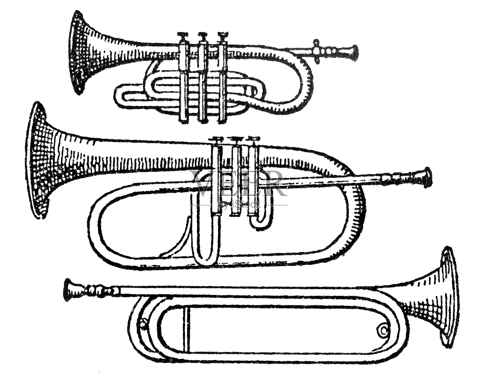 1899年白色背景上的小号、圆号和号角钢版画照片摄影图片