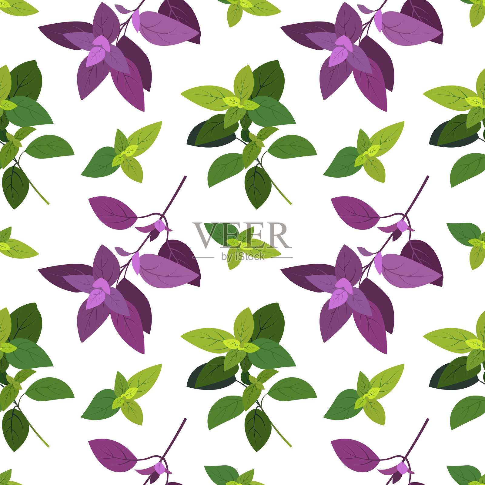 罗勒无缝图案。烹饪香草和香料,意大利美食和香气草药的无尽纹理,适用于包装设计,手绘矢量平面插图。罗勒装饰性无缝图案设计。插画图片素材