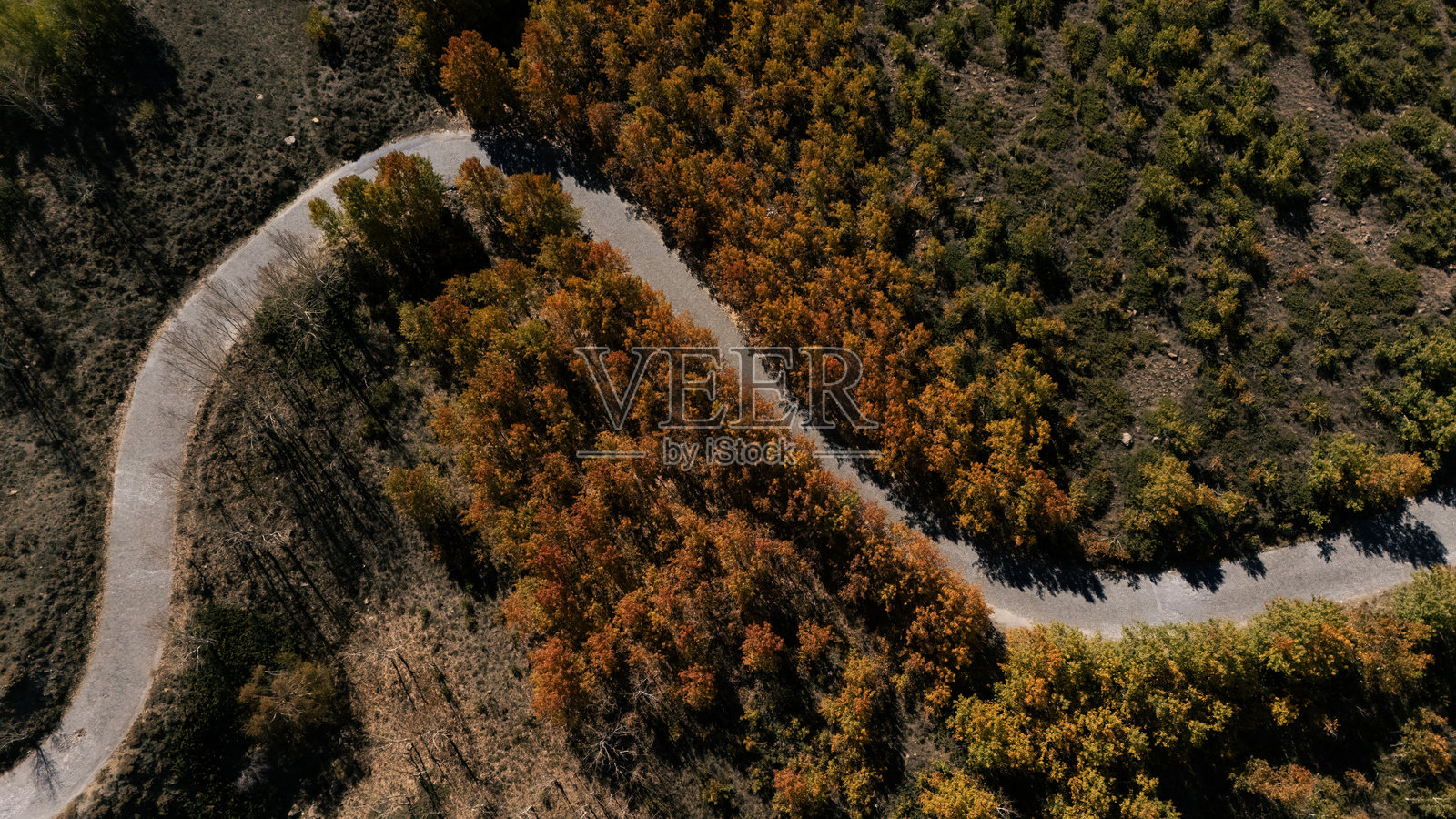 秋季林地风光的鸟瞰图照片摄影图片