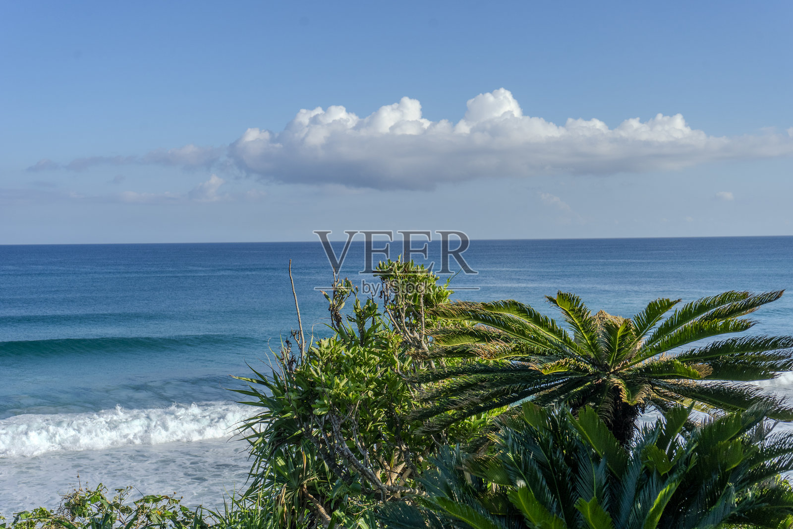 奄美大岛的海洋照片摄影图片