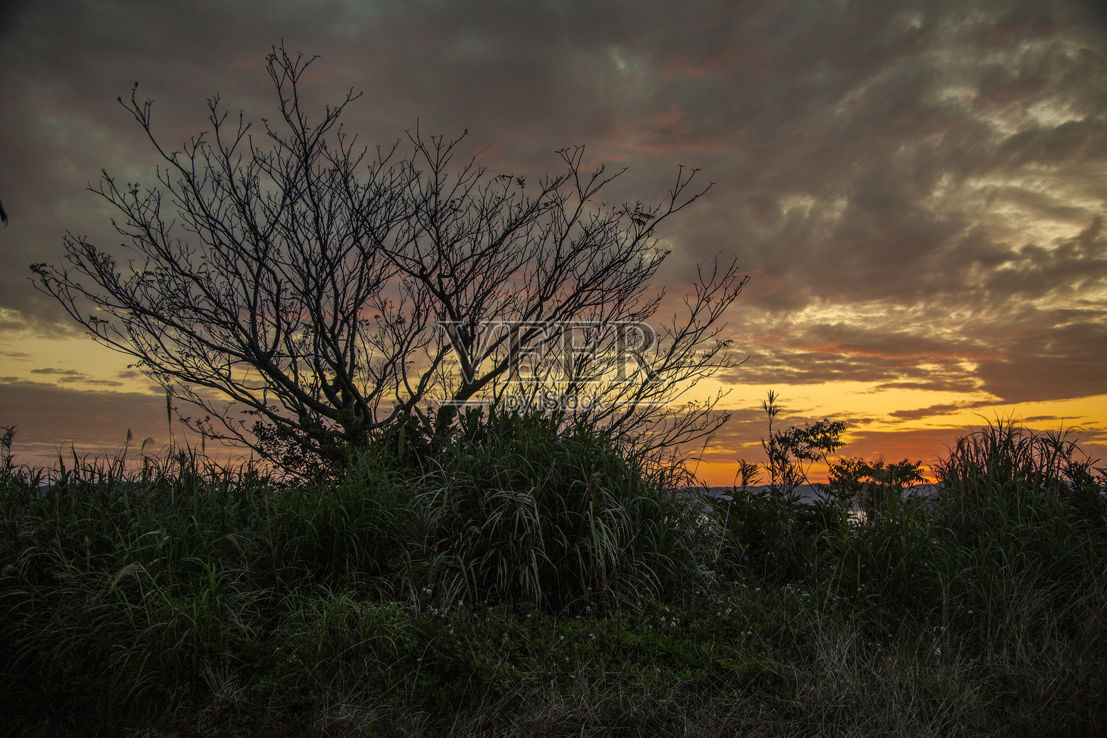 奄美大岛的黎明照片摄影图片