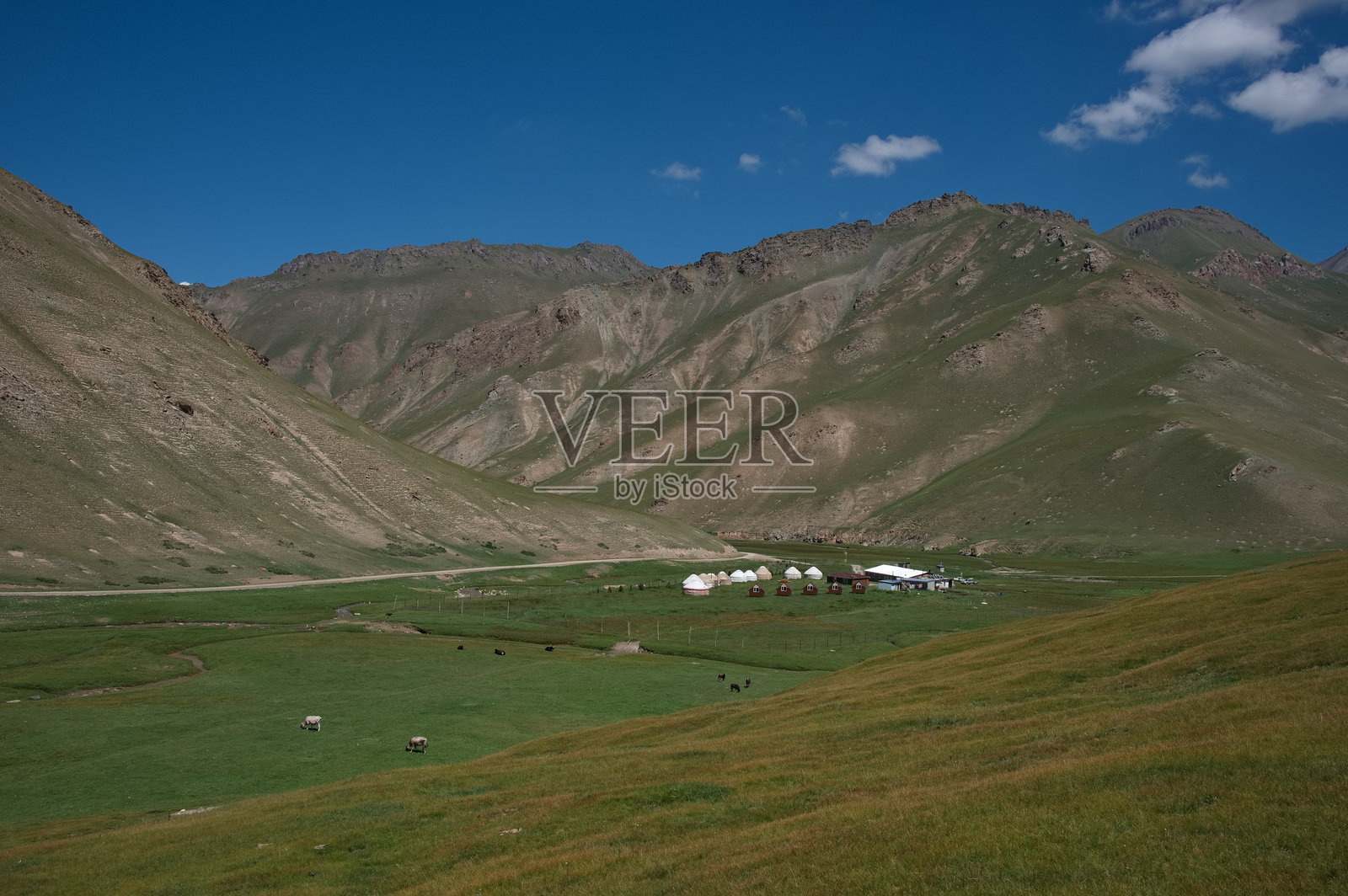 吉尔吉斯斯坦的毡房营地照片摄影图片