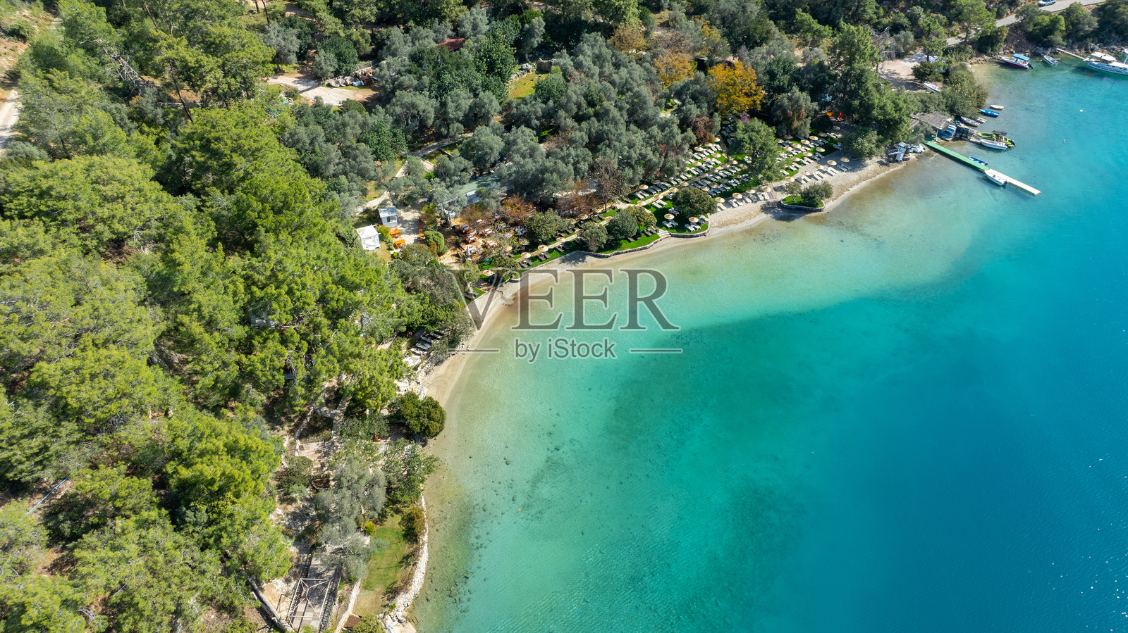 热带夏日海滩俱乐部照片摄影图片